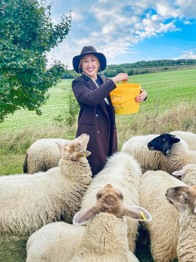 Вилла Farma Ovci Terasy Nemcicky  Экстерьер фото